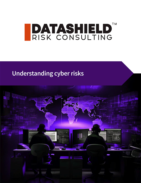 White book Understanding cyber risks